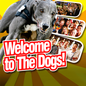The Dogs icon