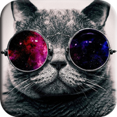 Cats Wallpapers icon