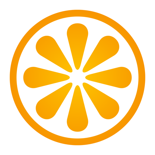 VisitBasis | Retail Audit and Merchandising app icon