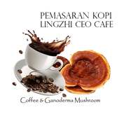 Pemasaran Kopi Lingzhi CEO on 9Apps