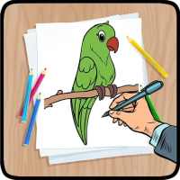 Cara Menggambar Burung Baru