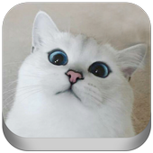 Cat and Dog Pictures &amp; GIFs icon