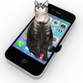 cat on screen - trying to grab your Android icons icon