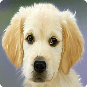 Dog Training Guide icon