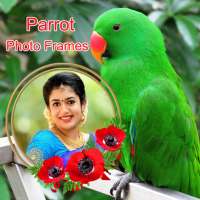 Parrot Photo Frames on 9Apps