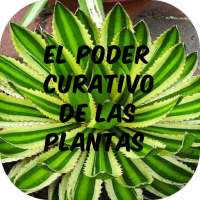 Medicina Natural con Plantas Medicinales on 9Apps