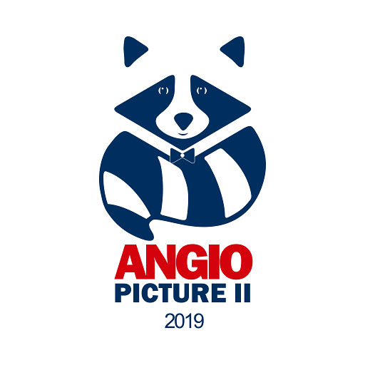 Angiopicture 2019 иконка