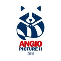 Angiopicture 2019