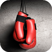 Boxing Wallpapers icon
