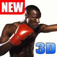 Boxing Fighting 3D - Real Free
