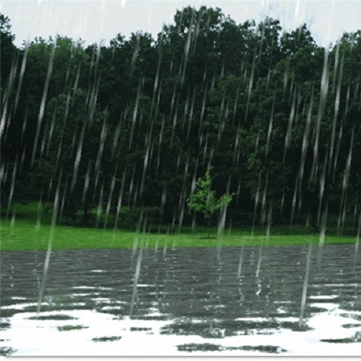 Rain Live Wallpaper icon
