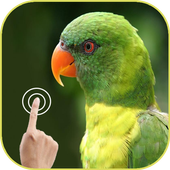 Blur Photo Editor icon