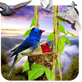 Birds Live Wallpaper 3D icon