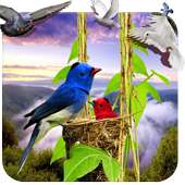 Birds Live Wallpaper 3D on 9Apps