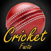 Cricket Facts of T20, Worldcup