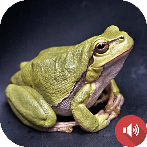 Frog Sounds icon