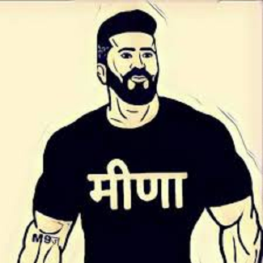 Meena Ji Status icon