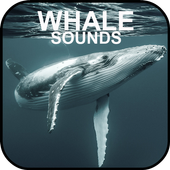 Whale Sounds icon