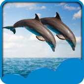 Dolphin Live Wallpapers icon