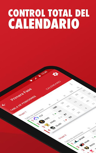 Gestor de ligas y torneos screenshot 4