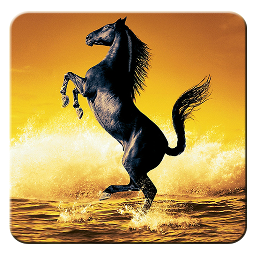Horse Live Wallpaper icon