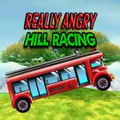 Really Angry Hill Racing