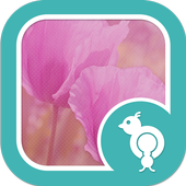 Go Locker Pink Spring Flowers icon