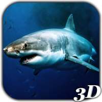 Shark Attack Live Wallpaper on 9Apps