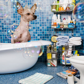 Funny Moments Jigsaw Puzzles icon