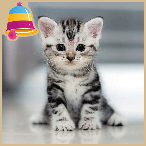 Cat Call - Animal Sound icon