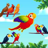 Bird Sort - Color Birds Game