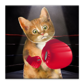Boxing Cat icon