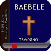 Holy Bible (TSW08NO) icon