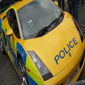 Police Car Racing 3D Simulator icon