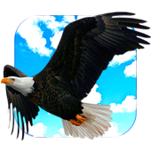 Flying Eagle Live Wallpaper icon