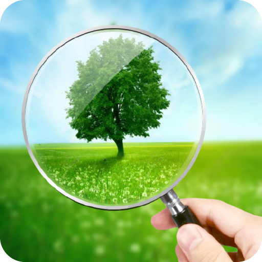 PIP Photo Editor icon