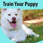 How to Train Your Puppy icon