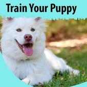 How to Train Your Puppy