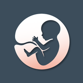 Life Simulator : Real New Text life icon