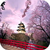 Japan Wallpapers icon