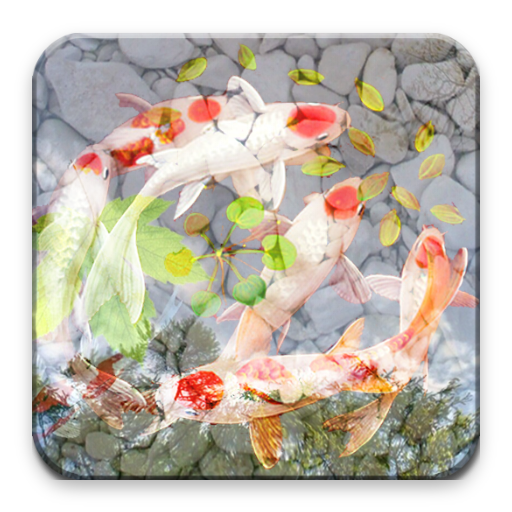 Peces Wallpaper - Fondo de Pantalla icon