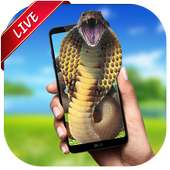 Snake Live Wallpaper on 9Apps