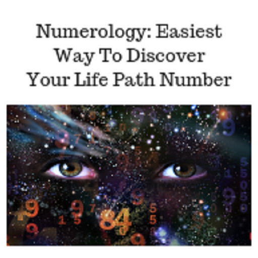 Life Path Number icon