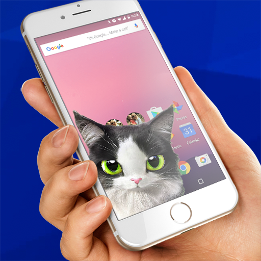 Cat inside phone prank icon