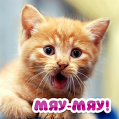 Кошачий разговорник. Симулятор иконка