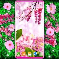 Flower Blossom Live Wallpaper on 9Apps