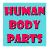 Human Body Parts Kids أيقونة
