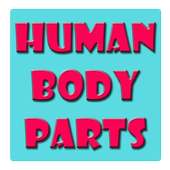 Human Body Parts Kids on 9Apps