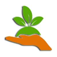 কোথায় কি গাছ লাগাবেন on 9Apps