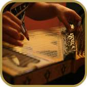 Kanun play (zither)